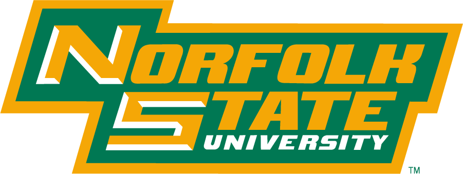 Norfolk State Spartans 1999-Pres Wordmark Logo v3 t shirts iron on transfers